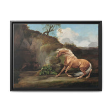 Horse Frightened by a Lion (1762–1768) by George Stubbs - NOMADEN ART GALLERY