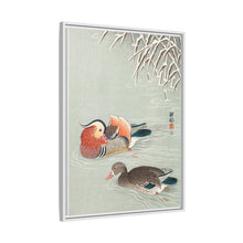 Mandarin ducks (1925 - 1936) by Ohara Koson