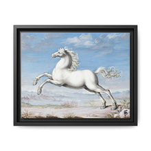 White horse (1552–1601) by Joris Hoefnagel - NOMADEN ART GALLERY