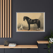Orloffer (Orloff Horse) by Emil Volkers (1880) - An illustration of a black horse and a white dog - NOMADEN ART GALLERY
