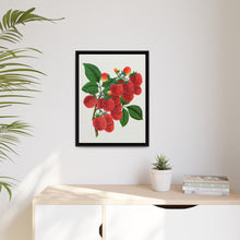Shaffer's Colossal Raspberry Lithograph (1900)