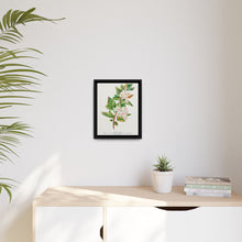 Spirea Aurea flowers lithograph. Digitally enhanced from our own original 1900 edition plates of Botanical Specimen published by Rochester Lithographing - NOMADEN ART GALLERY