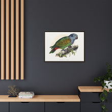 Red-Vented Parrot (Amazona martinicana) colored wood-engraved plate by Alexander Francis Lydon