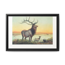 The Wapiti from Zoological sketches (1861-1867) by Joseph Wolf and Philip Lutley Sclater - NOMADEN ART GALLERY