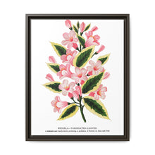 Pink flowers, Weigela lithograph (1900) - NOMADEN ART GALLERY