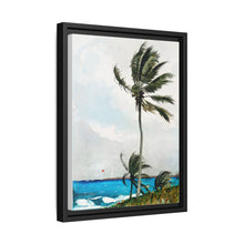 Palm Tree, Nassau (1898) by Winslow Homer