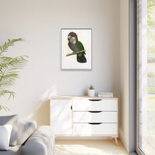 Hawk-Headed Parrot (Deroptyus accipitrinus) colored wood-engraved plate by Alexander Francis Lydon.