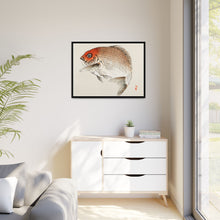 Tai (Red Seabream) fish by Kōno Bairei