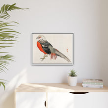Japanese pheasant by Kōno Bairei (1844-1895)