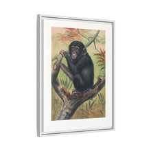 The Chimpanzee from Zoological sketches (1861-1867) by Joseph Wolf and Philip Lutley Sclater.