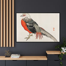 Japanese pheasant by Kōno Bairei (1844-1895)
