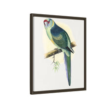 Barnard's Parrakeet (Barnardius barnardi) colored wood-engraved plate by Alexander Francis Lydon