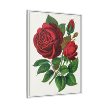 Red Rose, Prince Camille De Rohan Lithograph