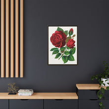 Red Rose, Prince Camille De Rohan Lithograph