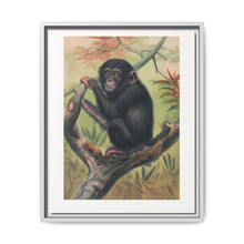 The Chimpanzee from Zoological sketches (1861-1867) by Joseph Wolf and Philip Lutley Sclater. - NOMADEN ART GALLERY