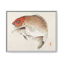 Tai (Red Seabream) fish by Kōno Bairei - NOMADEN ART GALLERY