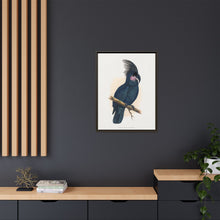 Great Black Cockatoo (Probosciger aterrimus) colored wood-engraved plate by Alexander Francis Lydon