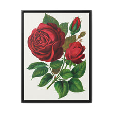 Red Rose, Prince Camille De Rohan Lithograph - NOMADEN ART GALLERY