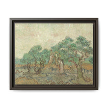 Vincent van Gogh's The Olive Orchard (1889) - Historical Art Canvas Print - NOMADEN ART GALLERY