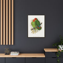 Lydon's West African Love-Bird | Vintage Avian Wall Art Print