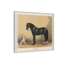 Orloffer (Orloff Horse) by Emil Volkers (1880) - An illustration of a black horse and a white dog - NOMADEN ART GALLERY