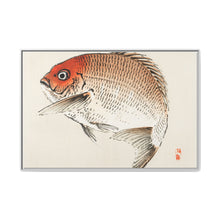 Tai (Red Seabream) fish by Kōno Bairei - NOMADEN ART GALLERY