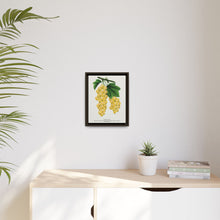 White Grape Lithograph | Vintage Botanical Wall Art Print