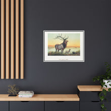 The Wapiti from Zoological sketches (1861-1867) by Joseph Wolf and Philip Lutley Sclater