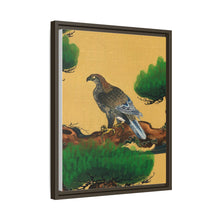 Pine and Eagle, a traditional portrait of a charismatic Japanese eagle by Kano Tanyu (1602-1674)