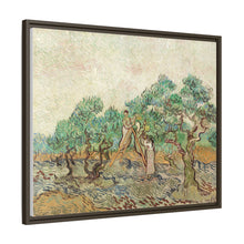 The Olive Orchard (1889) by Vincent van Gogh. Original from The National Gallery of Art. - NOMADEN ART GALLERY