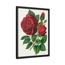 Red Rose, Prince Camille De Rohan Lithograph