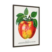 Wolf River Apple Lithograph | Vintage Botanical Wall Art Print