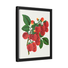 Shaffer's Colossal Raspberry Lithograph (1900)