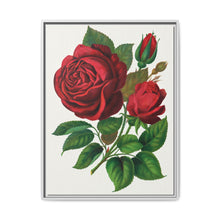 Red Rose, Prince Camille De Rohan Lithograph - NOMADEN ART GALLERY