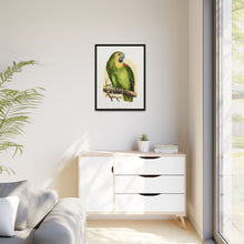 Blue-Fronted Amazon (Amazona aestiva) colored wood-engraved plate by Alexander Francis Lydon