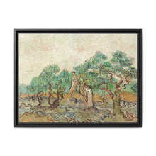 The Olive Orchard (1889) by Vincent van Gogh - Antique Framed Art Print - NOMADEN ART GALLERY