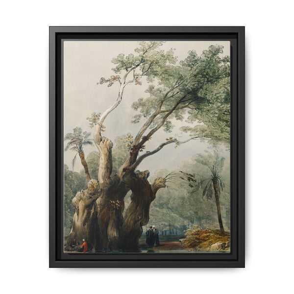 The holy tree of Metereah illustration by David Roberts (1796–1864) - NOMADEN ART GALLERY