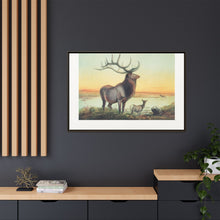 The Wapiti from Zoological sketches (1861-1867) by Joseph Wolf and Philip Lutley Sclater