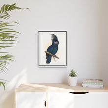 Great Black Cockatoo (Probosciger aterrimus) colored wood-engraved plate by Alexander Francis Lydon