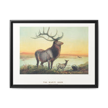 The Wapiti from Zoological sketches (1861-1867) by Joseph Wolf and Philip Lutley Sclater - NOMADEN ART GALLERY