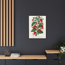 Prunus Triloba flower lithograph. Digitally enhanced from our own original 1900 edition plates of Botanical Specimen published by Rochester Lithographing