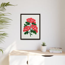 Paul's New Double Flowering Thorn lithograph. Digitally enhanced from our own original 1900 edition plates of Botanical Specimen published by Rochester Lithographing