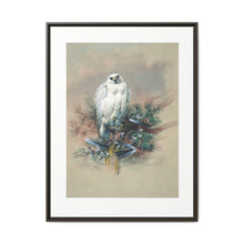 The Greenland Falcon from Zoological sketches (1861-1867) by Joseph Wolf and Philip Lutley Sclater - NOMADEN ART GALLERY