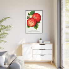 Duchess of Oldenburg apples lithograph from Botanical Specimen published by Rochester Lithographing