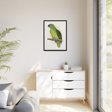 Lydon's Yellow-Naped Amazon | Vintage Parrot Wall Art Print