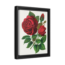 Red Rose, Prince Camille De Rohan Lithograph - NOMADEN ART GALLERY