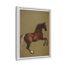 Whistlejacket es una pintura al óleo sobre lienzo de alrededor de 1762 que muestra el caballo de carreras del marqués de Rockingham, encabritado sobre un fondo blanco.
