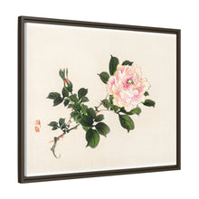 Pink rose by Kōno Bairei (1844-1895)