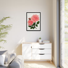 Pink Rose, La France Lithograph (1900)