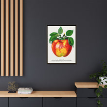 Wolf River Apple Lithograph | Vintage Botanical Wall Art Print